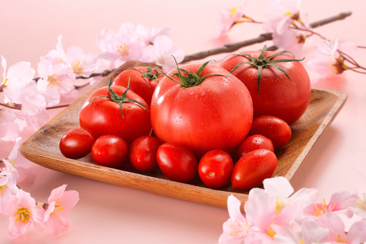 トマトの美味しい季節がやってきた！市内量販店で試食キャンペーン実施中♪